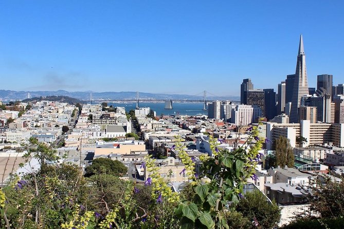 San Francisco Urban Hike: Coit Tower, Lombard Street and North Beach - Russian Hill and Lombard Street: the famous crooked section