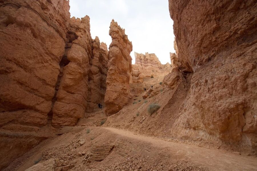 San Francisco: Yosemite, Las Vegas, Bryce & Zion, 6-Day Tour - Key highlights to look for