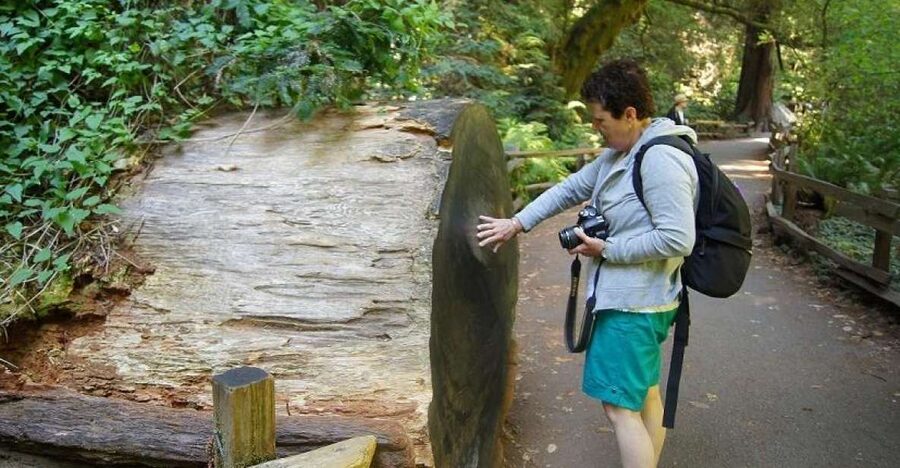 SF: Guided Muir Woods Tour & Hop-On Hop-Off Tour (Save 15%) - How the guide + 24-hour bus combo plays in real life
