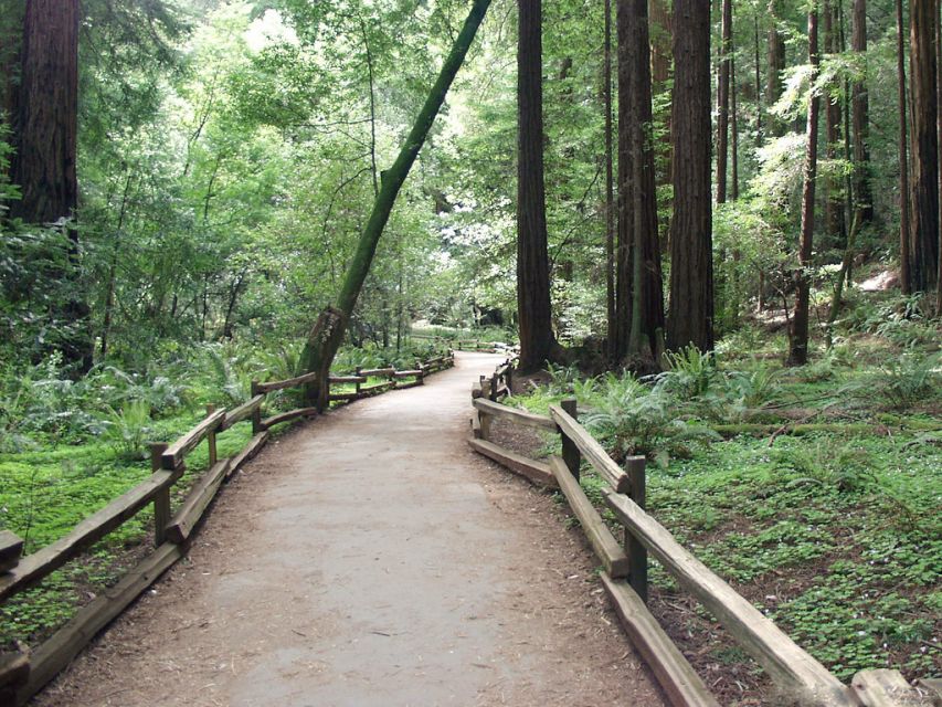 SF: Guided Muir Woods Tour & Hop-On Hop-Off Tour (Save 15%) - Who should book this Muir Woods + Big Bus bundle