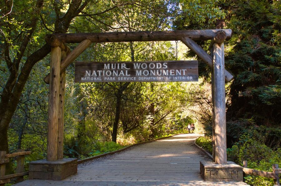 SF: Muir Woods, Sausalito, Golden Gate Bridge Private Tour - A Private Ride That Keeps Your Day Moving (Without Stress)
