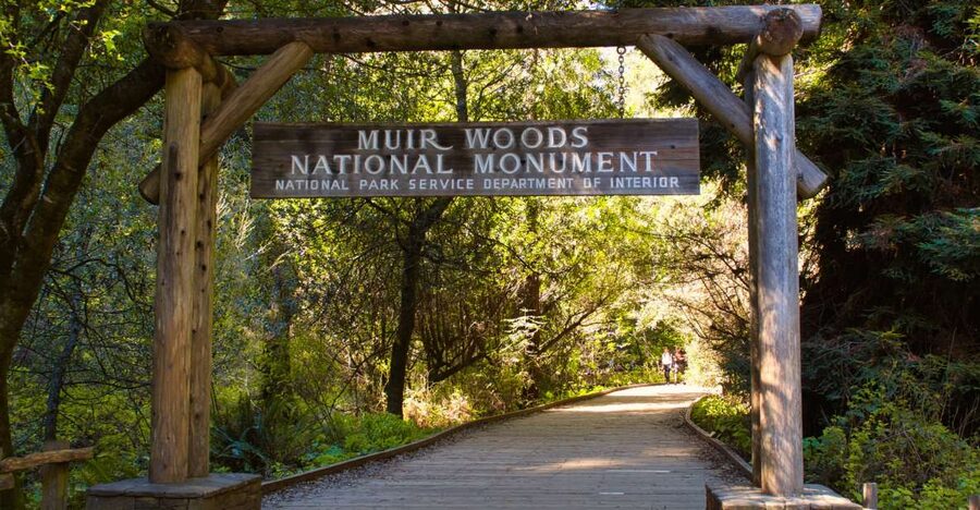 SF: Muir Woods, Sausalito, Golden Gate Bridge Private Tour - Who Should Book This Private Muir Woods and Bay Tour?