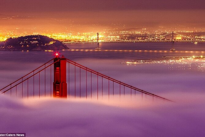 SFO Pick-Up with City Sightseeing Tour - Timing: what “about 1.5 hours of sightseeing” really means