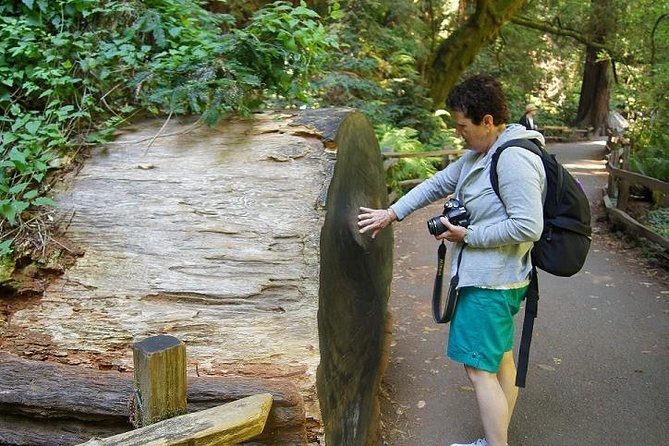 Shore Excursion from SF: Guided Tour to Muir Woods and Sausalito - Cruise-day value: what makes this shore excursion work