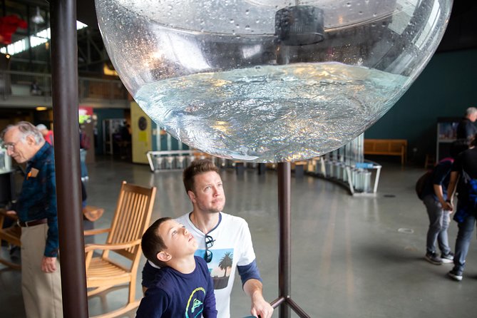 SKIP THE LINE: Exploratorium Daytime Admission - Gallery 1 and the Brain: Perception in Action