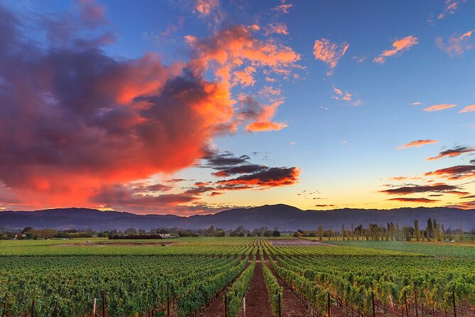 Small-Group Giant Redwoods and Russian River Wine Country Trip - A full day that works because it’s paced well