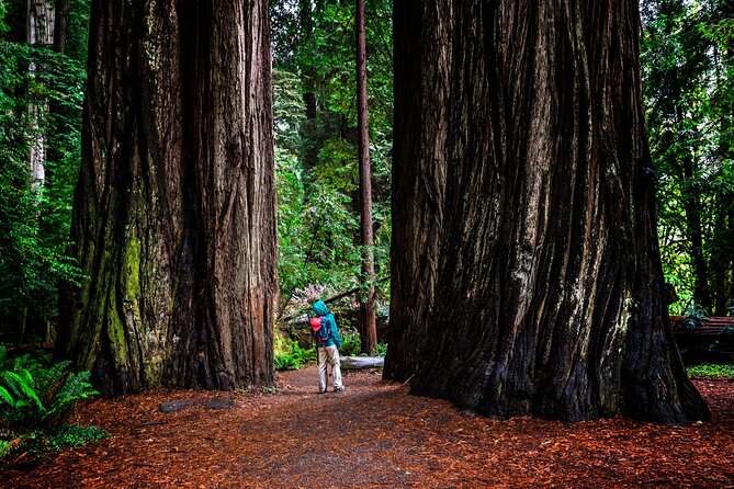 Small-Group Giant Redwoods and Russian River Wine Country Trip - Guerneville: a small-town break that keeps the redwoods from feeling rushed