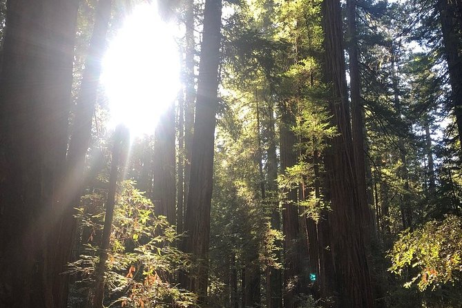 Small-Group Giant Redwoods and Russian River Wine Country Trip - Hotel pickup: convenient, but only from select zones