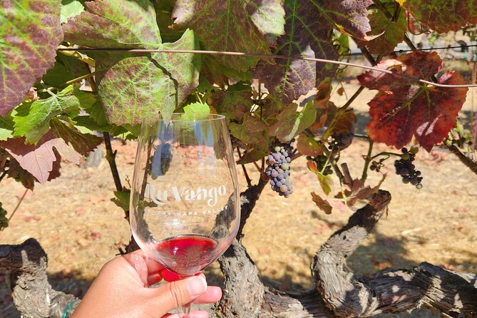 Small Group Napa and Sonoma Full-Day Wine Tour from San Francisco - The $140.25 value: what you’re really paying for