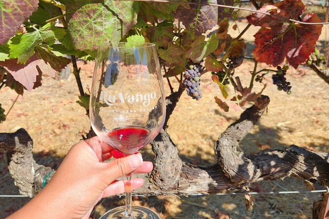 Small Group Napa and Sonoma Half-Day Wine Tour from San Francisco - How the Half-Day Schedule Really Feels