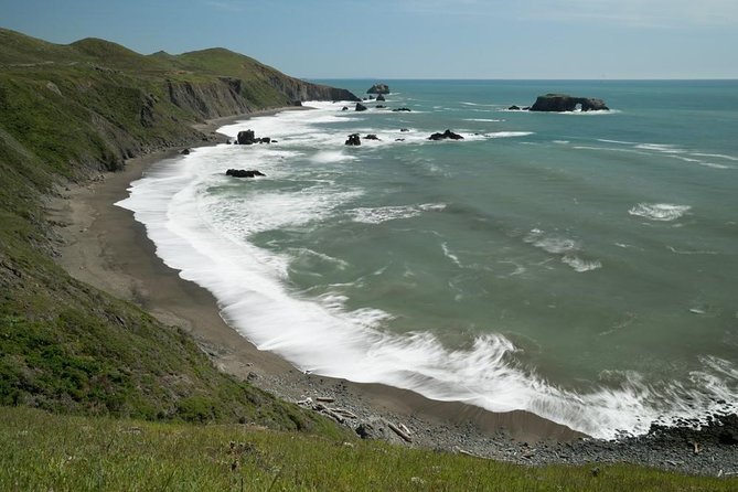 Small Group Redwoods, California Coast & Sausalito Day Trip from San Francisco - North Bay convenience: pickup, small group, and a day that stays on track