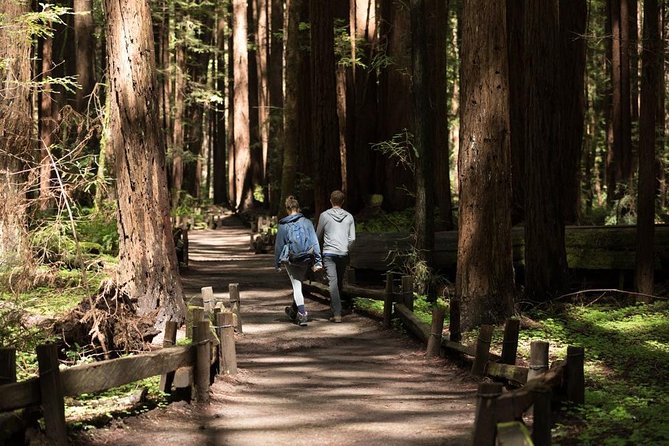 Small Group Redwoods, California Coast & Sausalito Day Trip from San Francisco - Armstrong Redwood State Reserve: tall-tree time without the worst crowds