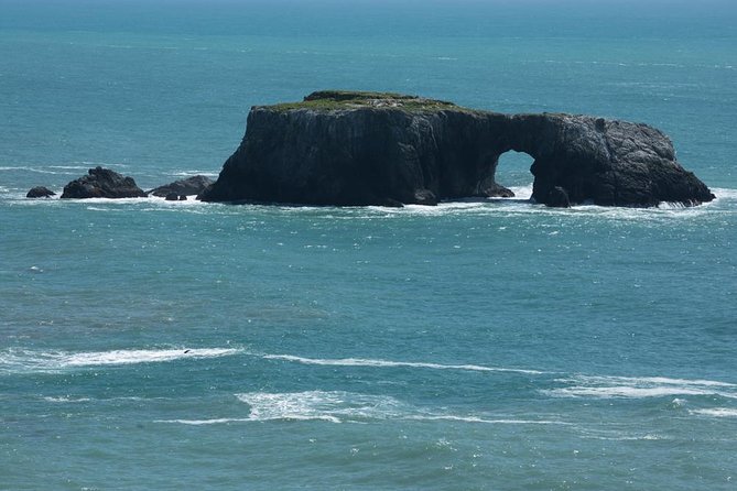 Small Group Redwoods, California Coast & Sausalito Day Trip from San Francisco - Marin Headlands panoramas and your option to return by ferry