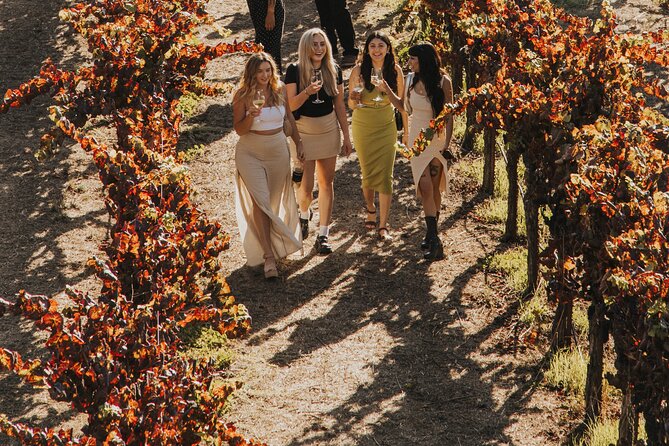 Small Group: Ultimate Napa & Sonoma Wine Tour from San Francisco - Sonoma Square: The 2-Hour Lunch Break Where You Actually Get Choices