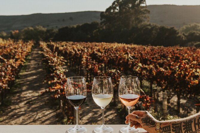 Small Group: Ultimate Napa & Sonoma Wine Tour from San Francisco - Transport and Pace: Why the Day Doesn’t Feel Too Long