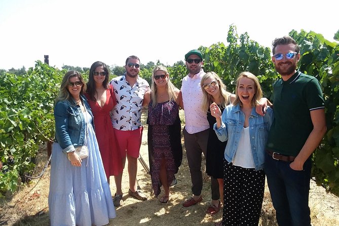 Small-Group Wine Country Tour from San Francisco with Tastings - Small-Group Wine Days Actually Work Better (When It’s 13 People)