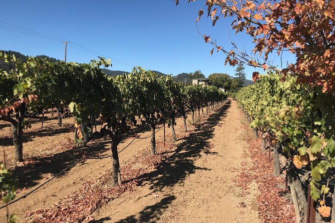 Small-Group Wine Country Tour from San Francisco with Tastings - Price and Value: What $179 Actually Buys You