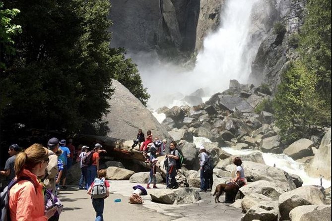 Small Group Yosemite and Giant Sequoias Day Trip from San Francisco - Yosemite Falls on foot: how to get the most from the 1-hour walk