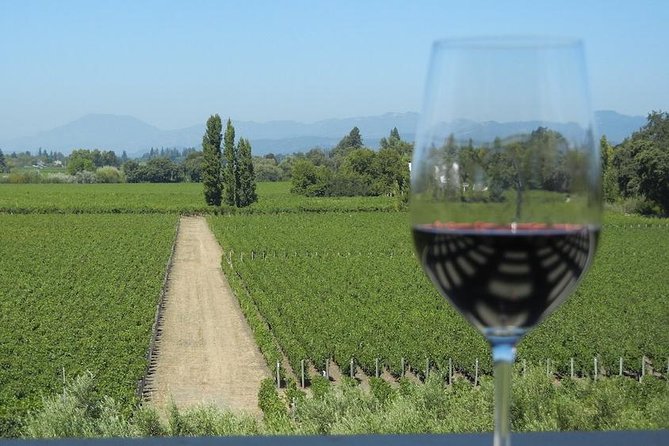 Sonoma and Napa Wine Tour 3 Tastings Included Small-Group Tour - Golden Gate Bridge Vista Point: quick photos, big payoff
