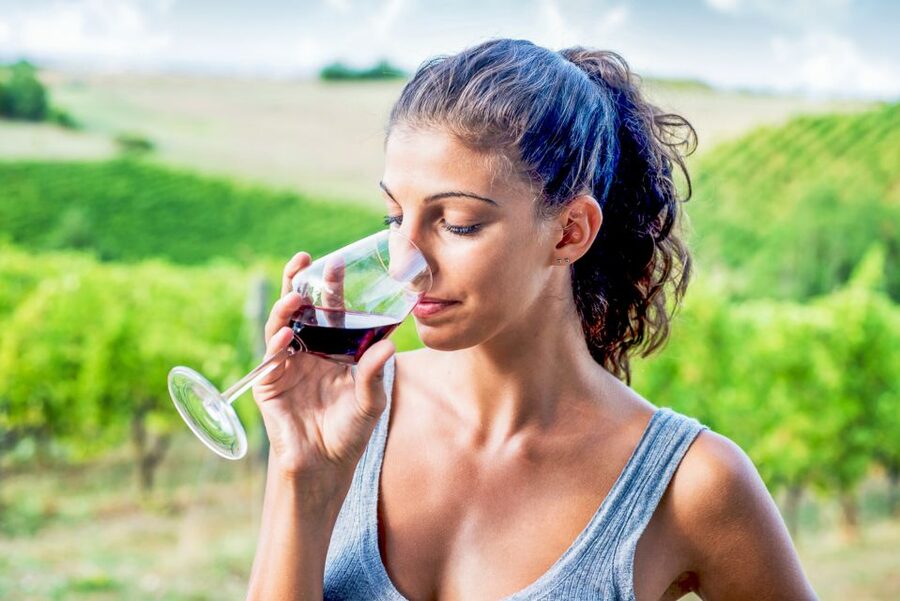 Sonoma County: Tasting Pass (Choose 1, 2, or 90 Days) - Key points to know before you start