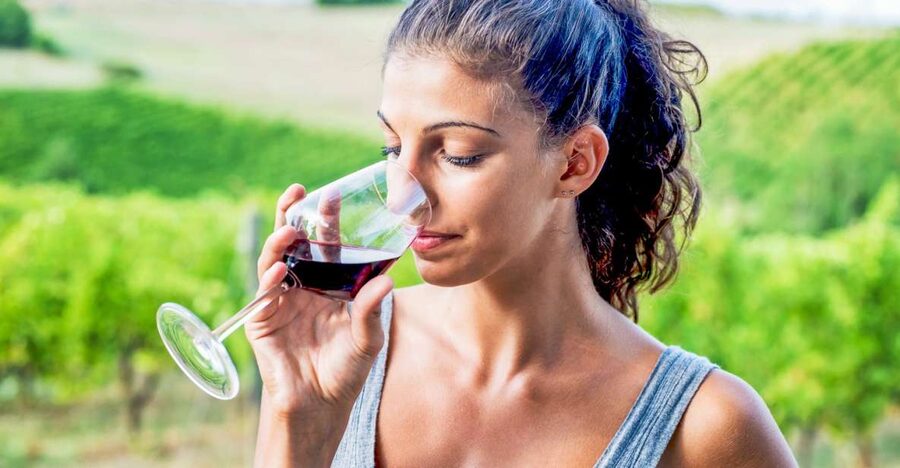 Sonoma County: Tasting Pass (Choose 1, 2, or 90 Days) - Quick practical facts before you go