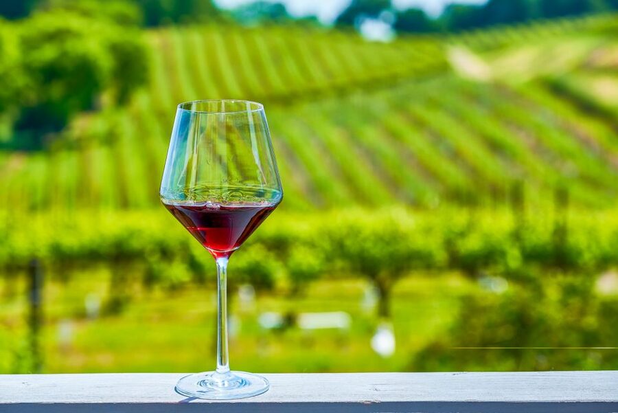 Sonoma County: Tasting Pass (Choose 1, 2, or 90 Days) - Stop-by-stop guide: what to expect from specific favorites