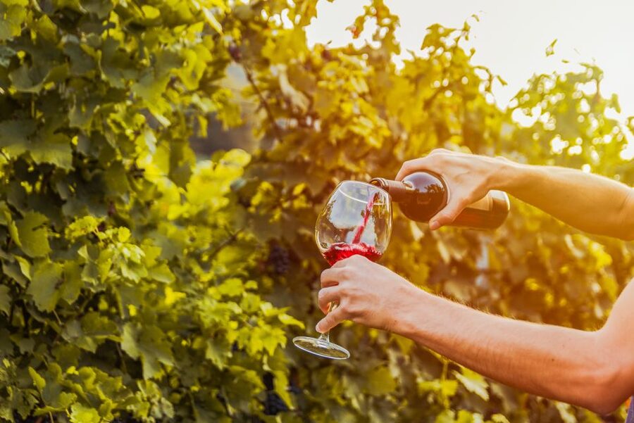 Sonoma County: Tasting Pass (Choose 1, 2, or 90 Days) - Price and value: how $39 can make sense