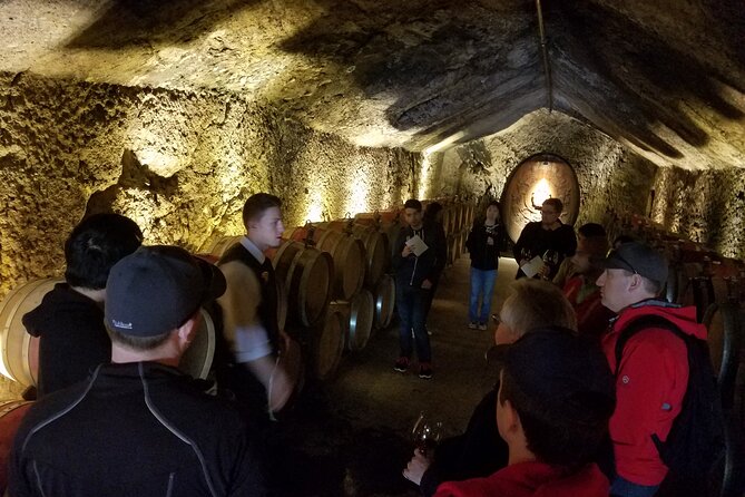 Sonoma County Wine Segway Tour - Who This Tour Suits Best (and Who Might Want Something Else)