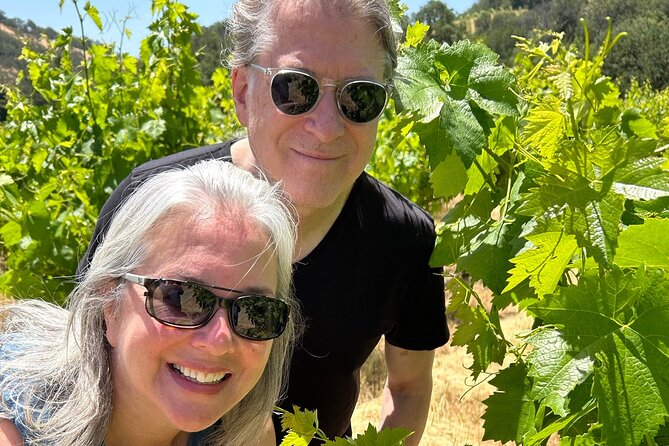 Sonoma Trike and Hike - 3 hour guided tour - Mission San Francisco Solano: Northernmost Mission Time in 15 Minutes