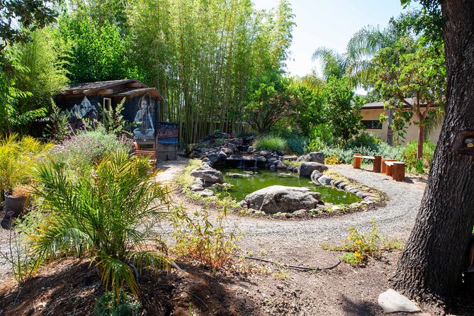Sonoma Trike and Mindfulness - 3 hour guided tour - Included vs Not Included: How to Think About Value at $175
