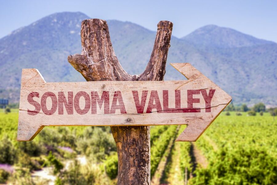Sonoma Valley: Guided Winery Tour with Picnic Lunch - The Picnic Lunch at a Winery: A Schedule Saver