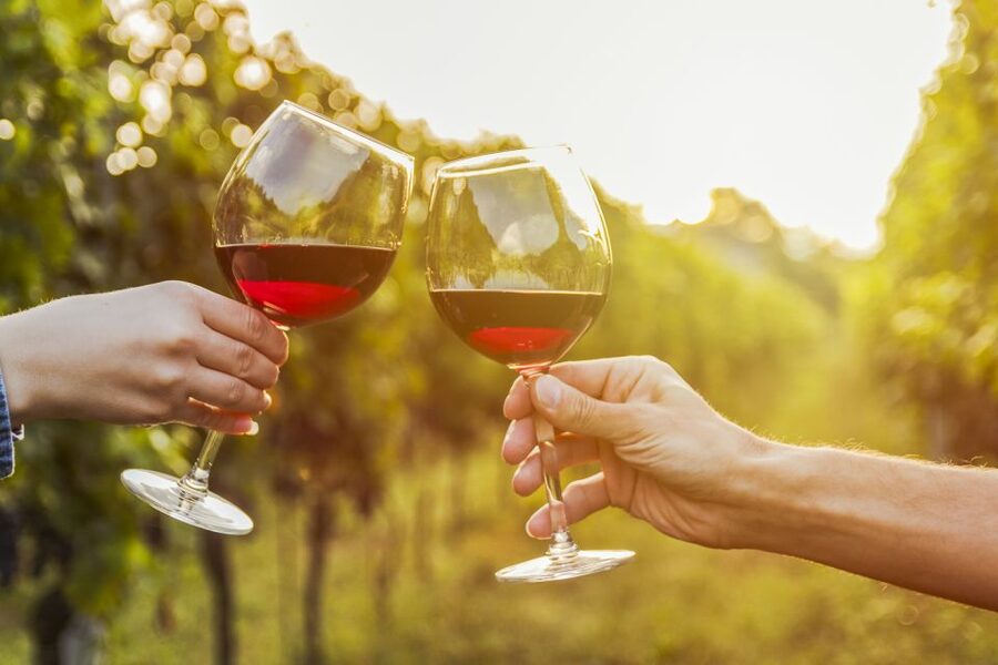 Sonoma Valley: Guided Winery Tour with Picnic Lunch - Wine Tasting Fees: How to Avoid Surprise Costs
