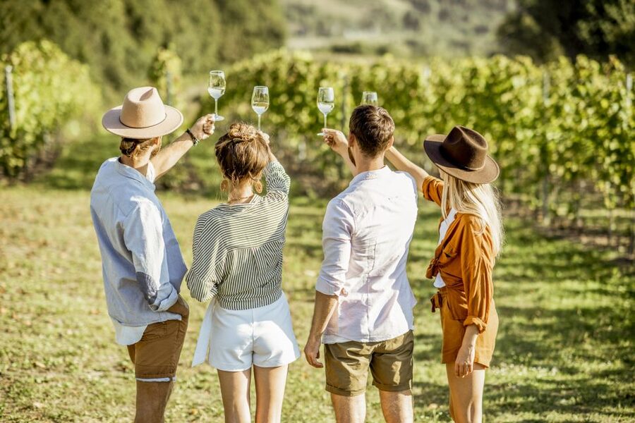 Sonoma Valley: Guided Winery Tour with Picnic Lunch - Pickup, Route, and the Reality of a 7-Hour Day