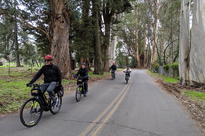 Sonoma Valley Pedal Assist Bike Tour - Key highlights worth showing up for