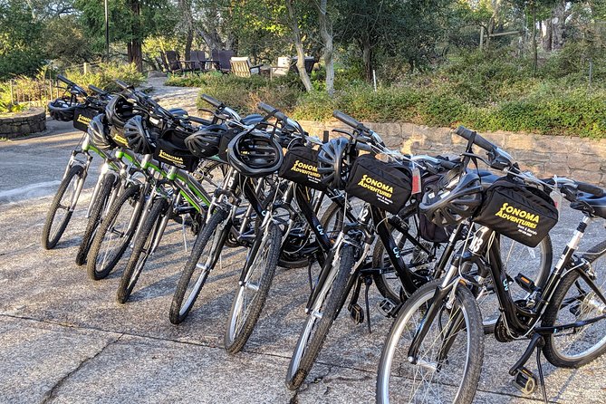 Sonoma Valley Pedal Assist Bike Tour - Morning logistics: where you meet and how the day runs