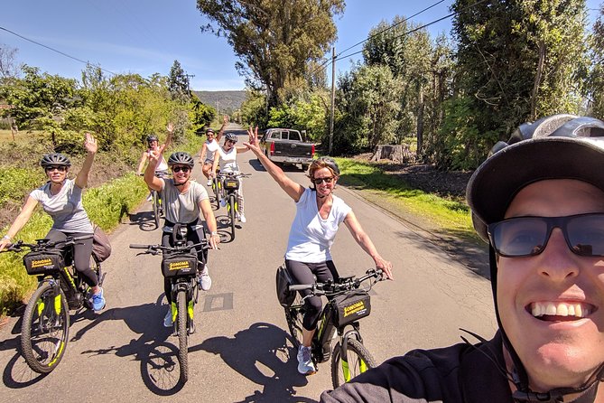 Sonoma Valley Pedal Assist Bike Tour - The guide makes or breaks the experience