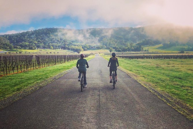 Sonoma Valley Pedal Assist Bike Tour with Lunch - Sonoma Valley by bike: the smart way to see wine country