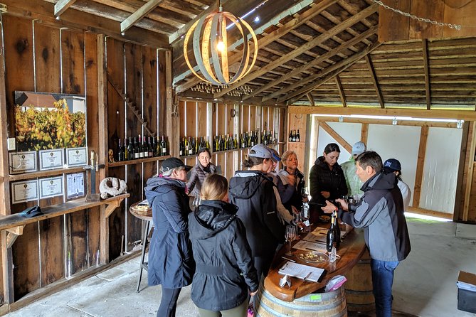 Sonoma Valley Pedal Assist Bike Tour with Lunch - Lunch at the winery: the real downtime you’ll appreciate