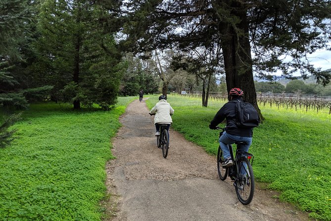 Sonoma Valley Pedal Assist Bike Tour with Lunch - Vella Cheese Company: included factory tour and free tasting
