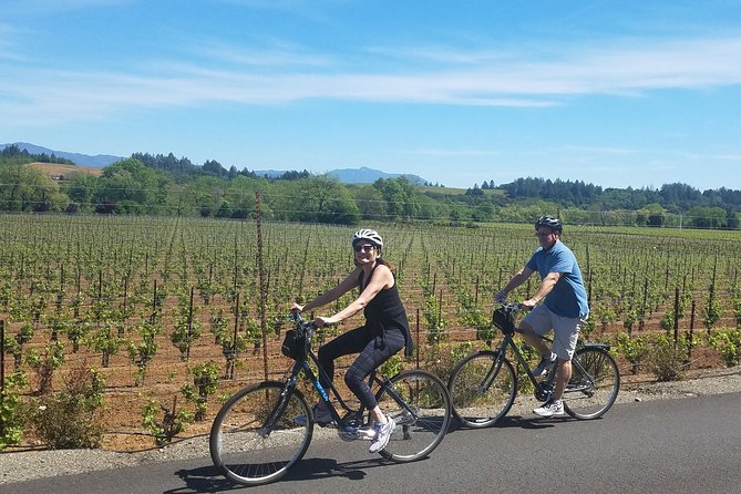 Sonoma Valley Pedal Assist Bike Tour with Lunch - Pedal assist, helmets, and the handlebar bag you will actually use