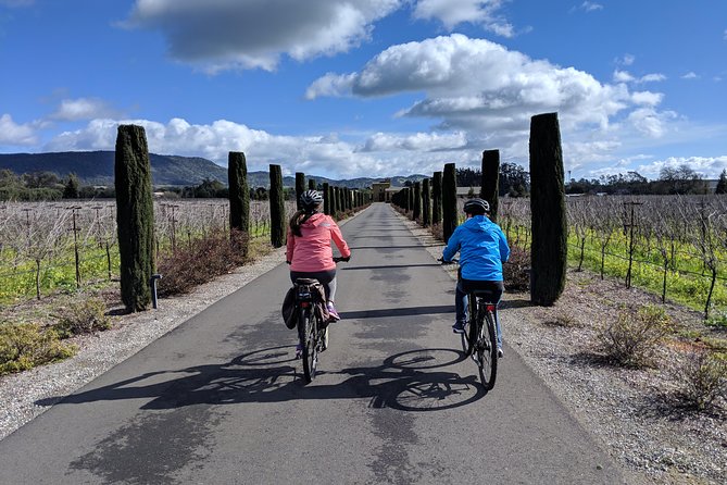 Sonoma Valley Pedal Assist Bike Tour - Price and what you actually get for $179
