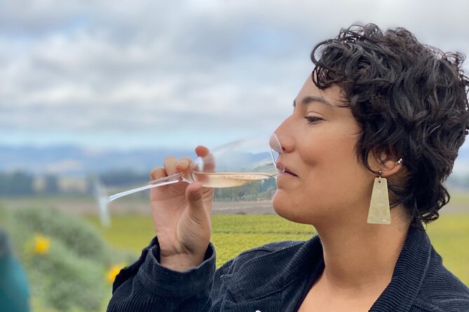 Sonoma Valley Sidecar Wine tours - Price and value: what $390 includes, and what costs extra