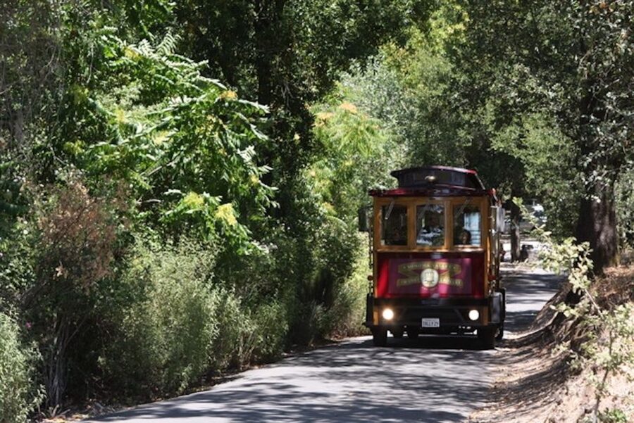 Sonoma Valley: Wine Trolley Tasting Tour with Lunch - Should you book this Sonoma Valley Wine Trolley with Lunch?