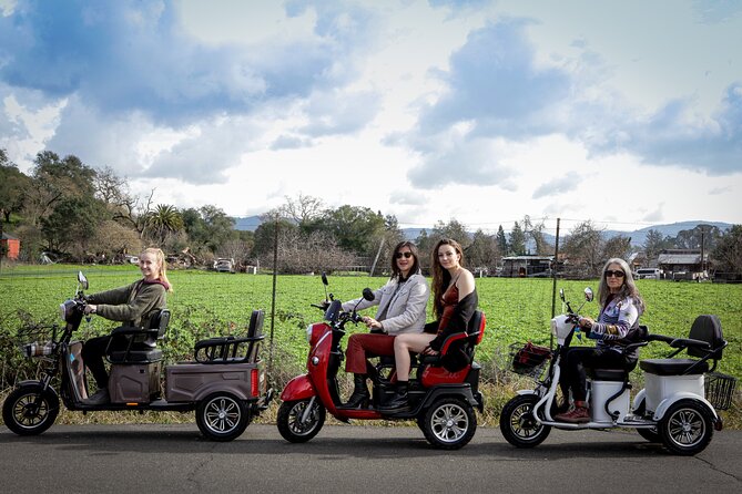 Sonoma Wine Country Electric Trike Tour - 3 hours - Key Things That Make This Trike Tour Worth Your Time