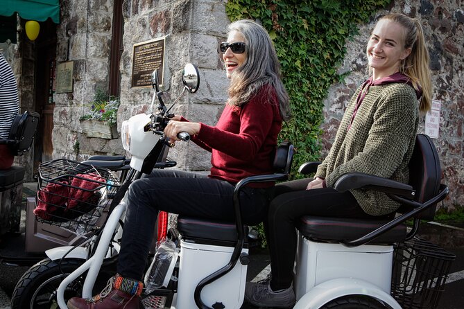 Sonoma Wine Country Electric Trike Tour - 3 hours - Stop 4: Three Fat Guys (Or Sebastiani) Winery Time, At Your Pace