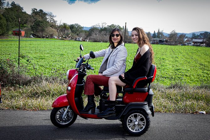 Sonoma Wine Country Electric Trike Tour - 5 hours - Sonoma Valley vineyards: the ride that sets your pace