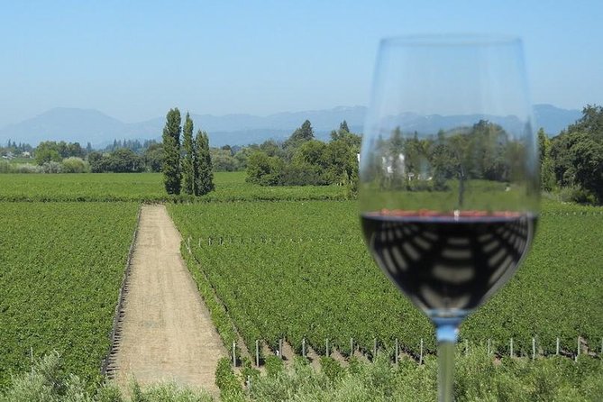 Sonoma Wine Tour with 2 Tastings Included Small-Group Half Day - Golden Gate Bridge Photo Stop: Fast, Fun, and Weather-Focused