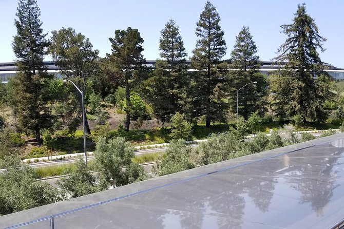 SUV Tour To Silicon Valley Including Stanford Walking Tour - Stanford in Motion: A 2-Hour Walking Tour With Named Buildings