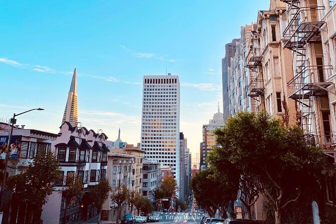The Best of San Francisco: Private Half-Day Walking Tour - Price, Pace, and What Your Private Guide Actually Buys