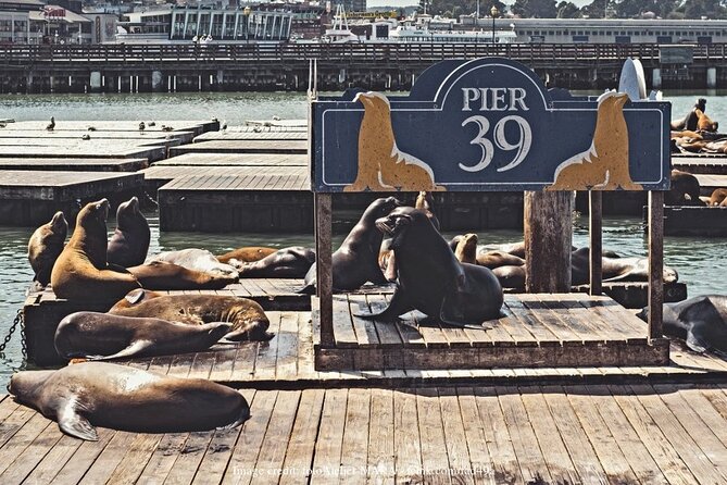 The Best of San Francisco: Private Half-Day Walking Tour - Chinatown on Foot: Customs, Cuisine, and Curiosities